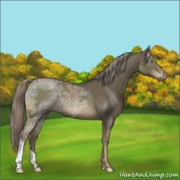 Horse Color:Chocolate Palomino Ice Mushroom 