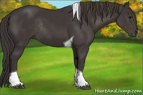 Horse Color:Smoky Black Tobiano Rabicano