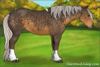 Horse Color:Silver Smoky Black Tobiano