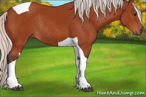 Horse Color:Silver Bay Tobiano Rabicano 