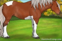 Horse Color:Silver Bay Tobiano Rabicano 
