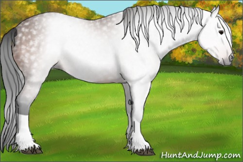 Horse Color:Gray Bay Tobiano Rabicano 