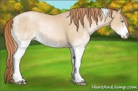 Horse Color:White Spotted Smoky Black Pearl Tobiano