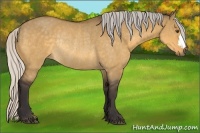 Horse Color:Silver Buckskin Dun Rabicano