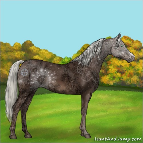 Horse Color:Liver Chestnut Ice Mushroom 