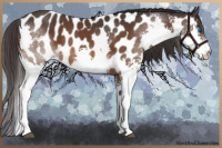 Horse Color:Brown Splash Near Leopard 