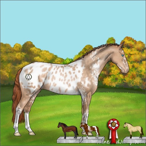 Horse Color:White Spotted Buckskin Pearl Appaloosa
