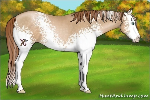 Horse Color:White Spotted Smoky Black Pearl Splash Rabicano 