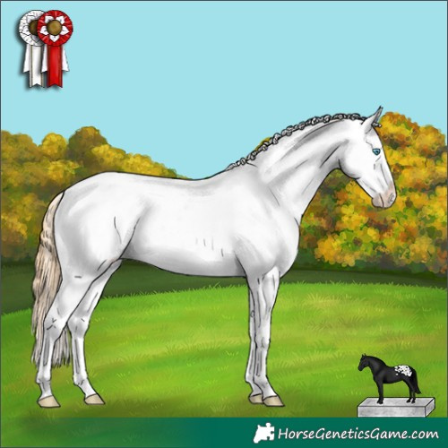 Horse Color:White Spotted Buckskin Pearl Appaloosa