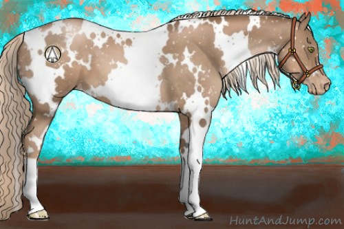 Horse Color:White Spotted Liver Chestnut Pearl Snowflake Varnish