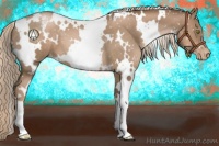 Horse Color:White Spotted Liver Chestnut Pearl Appaloosa 