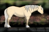 Horse Color:Silver Buckskin Dun Tobiano
