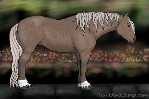 Horse Color:Silver Black Tobiano 