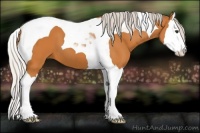 Horse Color:Silver Buckskin Splash Tobiano 
