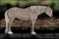Horse Color:Silver Grullo