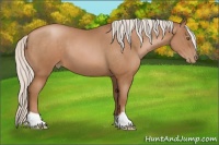 Horse Color:Silver Brown Pearl 
