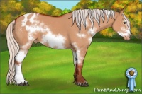 Horse Color:White Spotted Silver Bay Dun Frame Varnish 