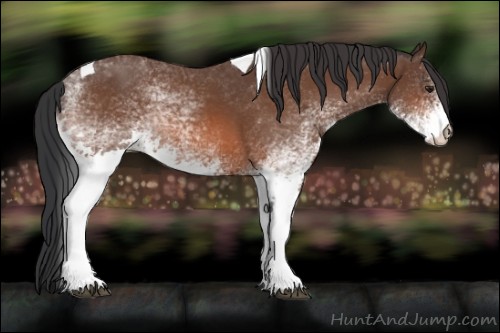 Horse Color:White Spotted Brown Tobiano Rabicano
