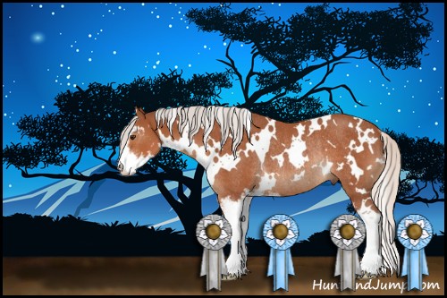 Horse Color:White Spotted Silver Bay Sabino Rabicano