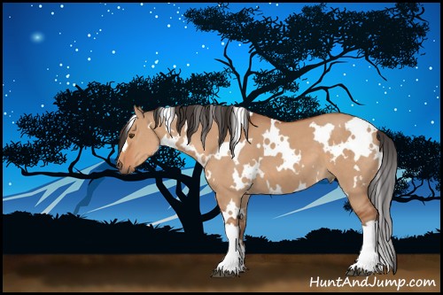 Horse Color:White Spotted Brown Dun 
