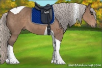 Horse Color:Silver Black Tobiano