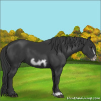 Horse Color:Black Frame 
