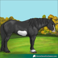 Horse Color:Black Frame