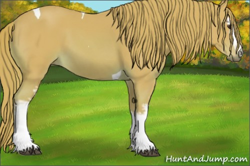 Horse Color:Watercolor White Spotted Chestnut Tobiano