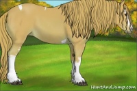 Horse Color:Watercolor White Spotted Chestnut Tobiano 