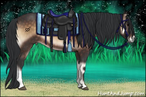 Horse Color:Brown Onyx 