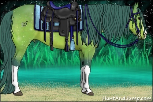 Horse Color:Watercolor Buckskin 