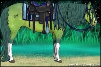 Horse Color:Watercolor Buckskin