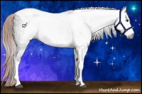 Horse Color:Gray Liver Chestnut Tobiano Frame
