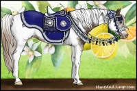 Horse Color:Chocolate Palomino Tobiano Frame 