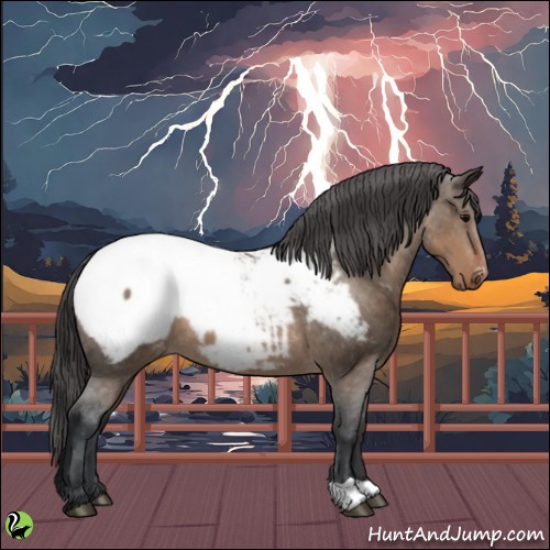 Horse Color:Brown Dun Snowcap 