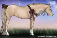 Horse Color:Chocolate Palomino Pearl
