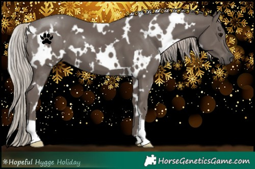 Horse Color:White Spotted Silver Black 