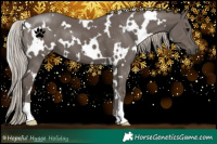 Horse Color:White Spotted Silver Black 