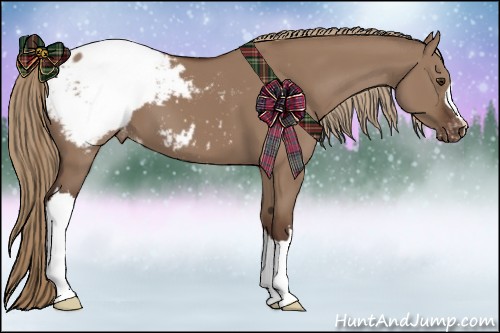 Horse Color:Liver Red Dun Appaloosa 