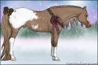 Horse Color:Liver Red Dun Appaloosa 