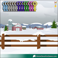 Horse Color:White Spotted Brown Pearl Sabino 