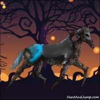 Horse Color:Black Splash