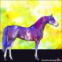 Horse Color:Watercolor White Spotted Brown 