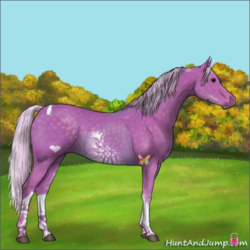 Horse Color:Watercolor White Spotted Silver Black Tobiano 