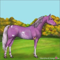 Horse Color:Watercolor White Spotted Silver Black Tobiano 