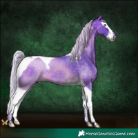 Horse Color:Watercolor Silver Buckskin Splash Tobiano