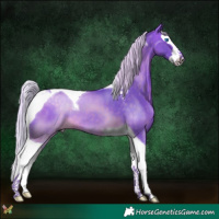 Horse Color:Watercolor Silver Buckskin Splash Tobiano
