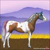 Horse Color:Watercolor Brown Splash Tobiano