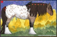 Horse Color:Bay Roan Dun Blanket Rabicano 