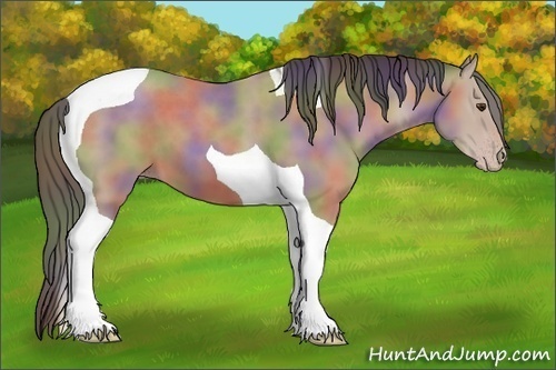 Horse Color:Nacre Classic Champagne Tobiano 